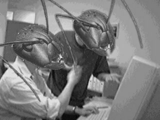 Pair Programming